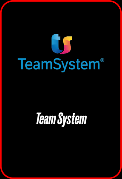 Team System